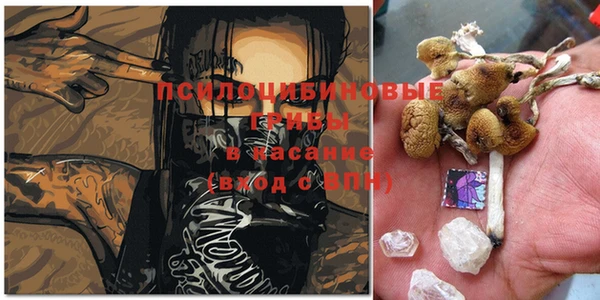 мяу мяу мука Балабаново