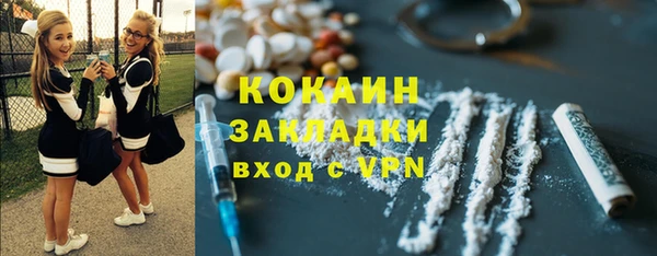 молекула духа Гусев